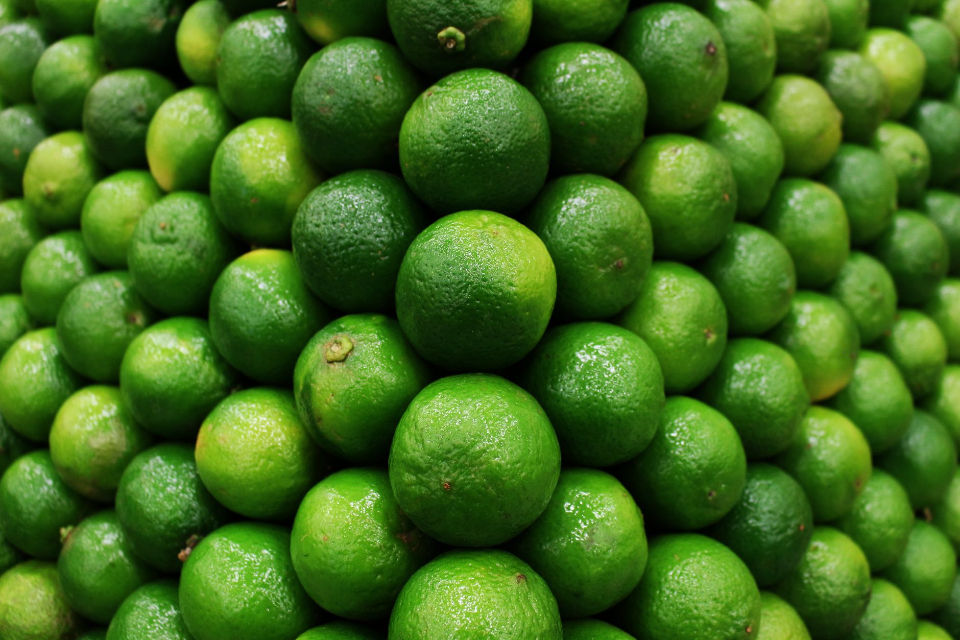 Benefits of Lime for Diet and Proper Serving Method