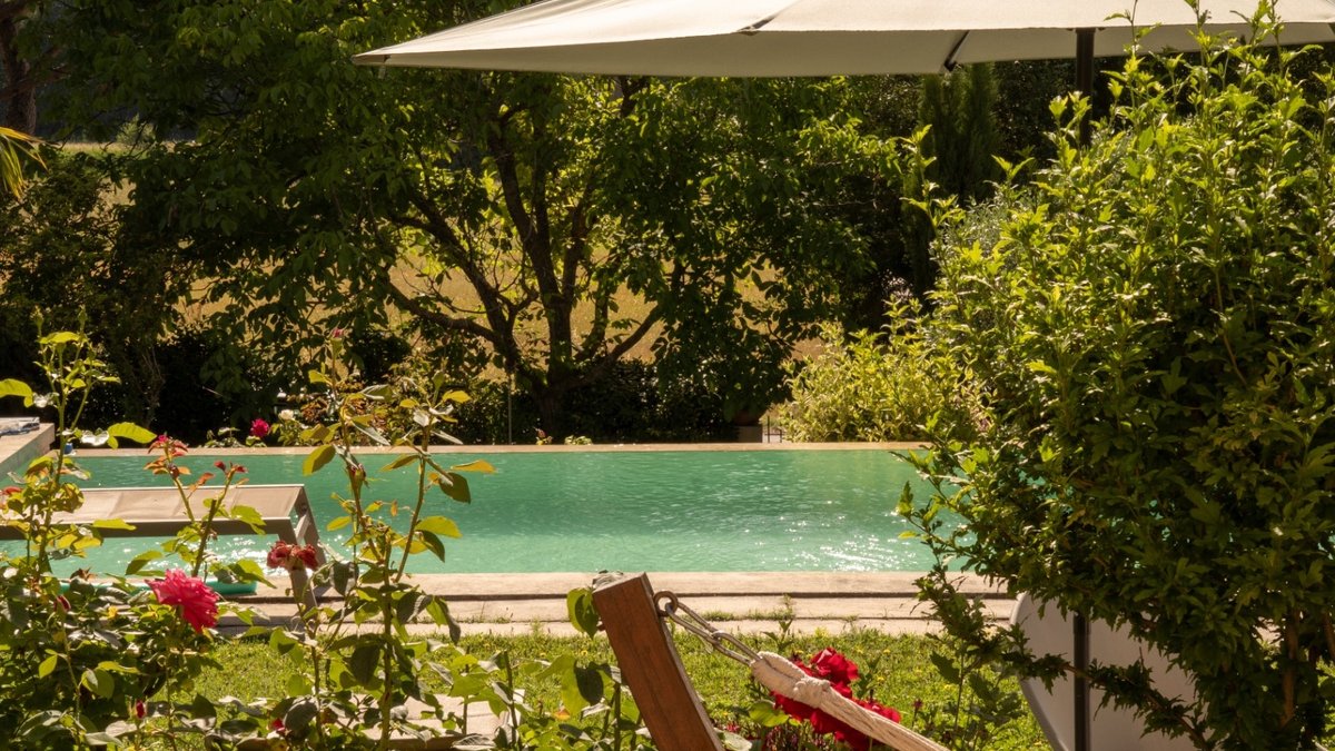 Mediterranean plants bring colour scent and pollinators - mediterranean plants