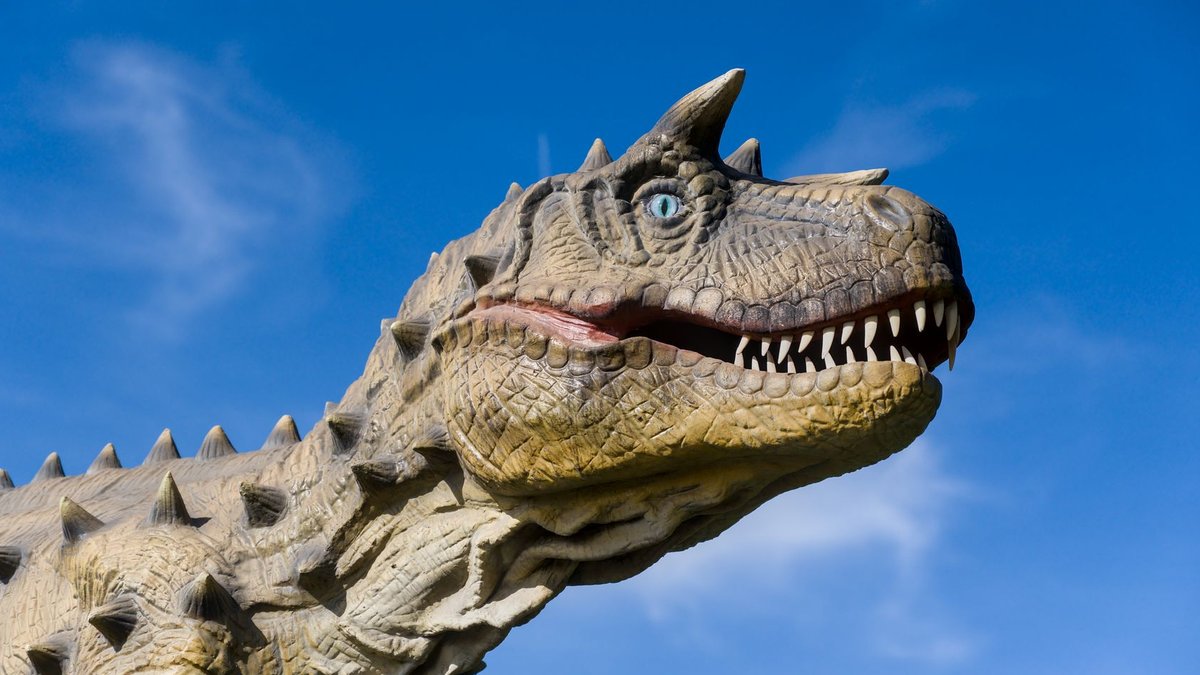 Sotheby’s to auction rare T rex skeleton Gus - t rex skeleton