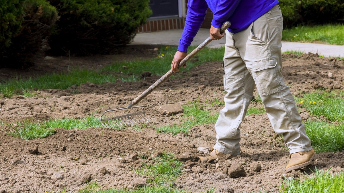 Planting Grass in July: Is It Too Late Planting Grass in July: Is It Too Late - planting grass in july