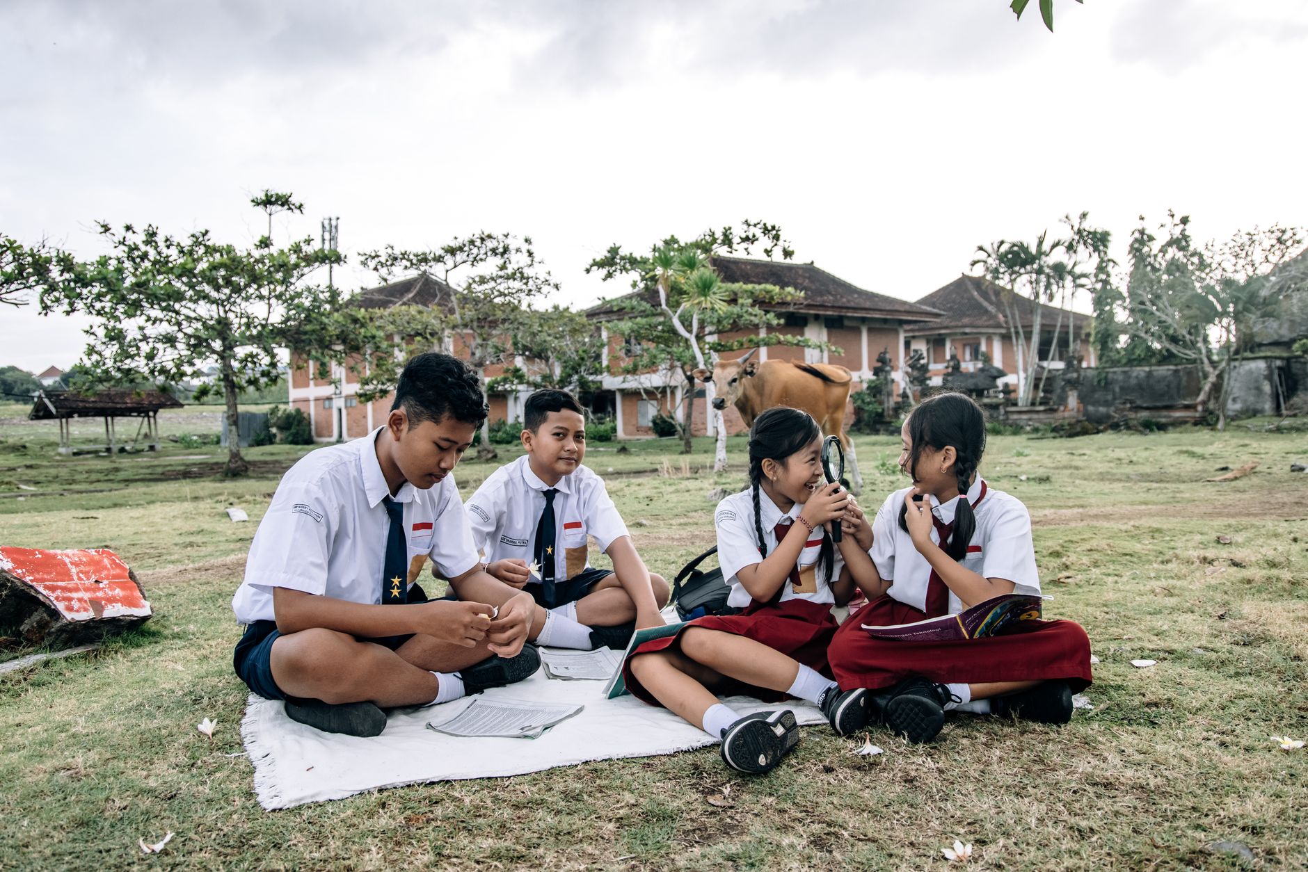 Indonesia Undergraduate Pharmacy Education