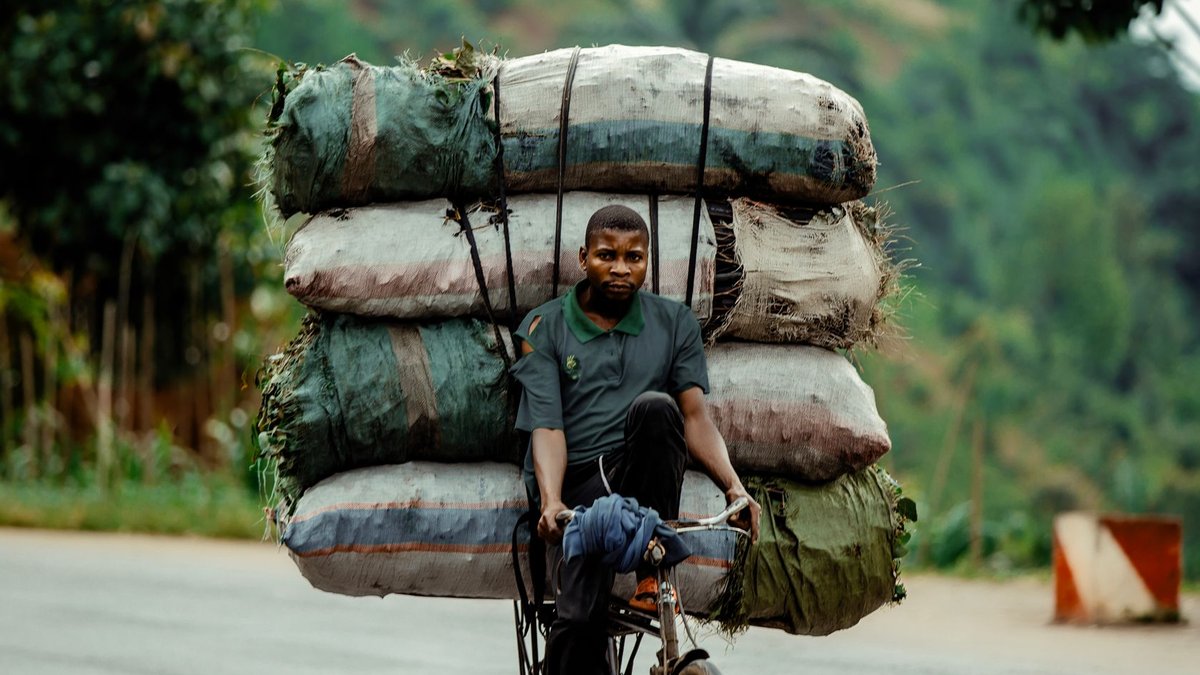 African cocoa firms target China growth African cocoa firms target China growth - african cocoa