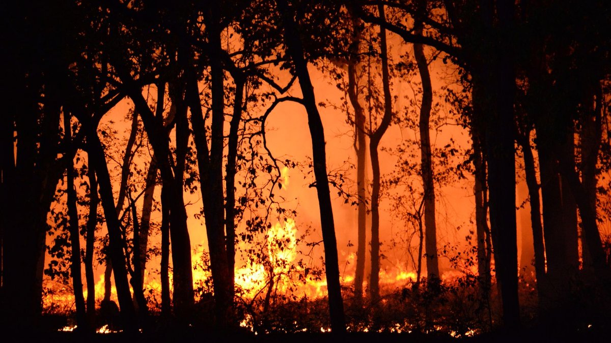 Google-Backed FireSat Satellite Launched to Monitor Wildfires - fire monitoring