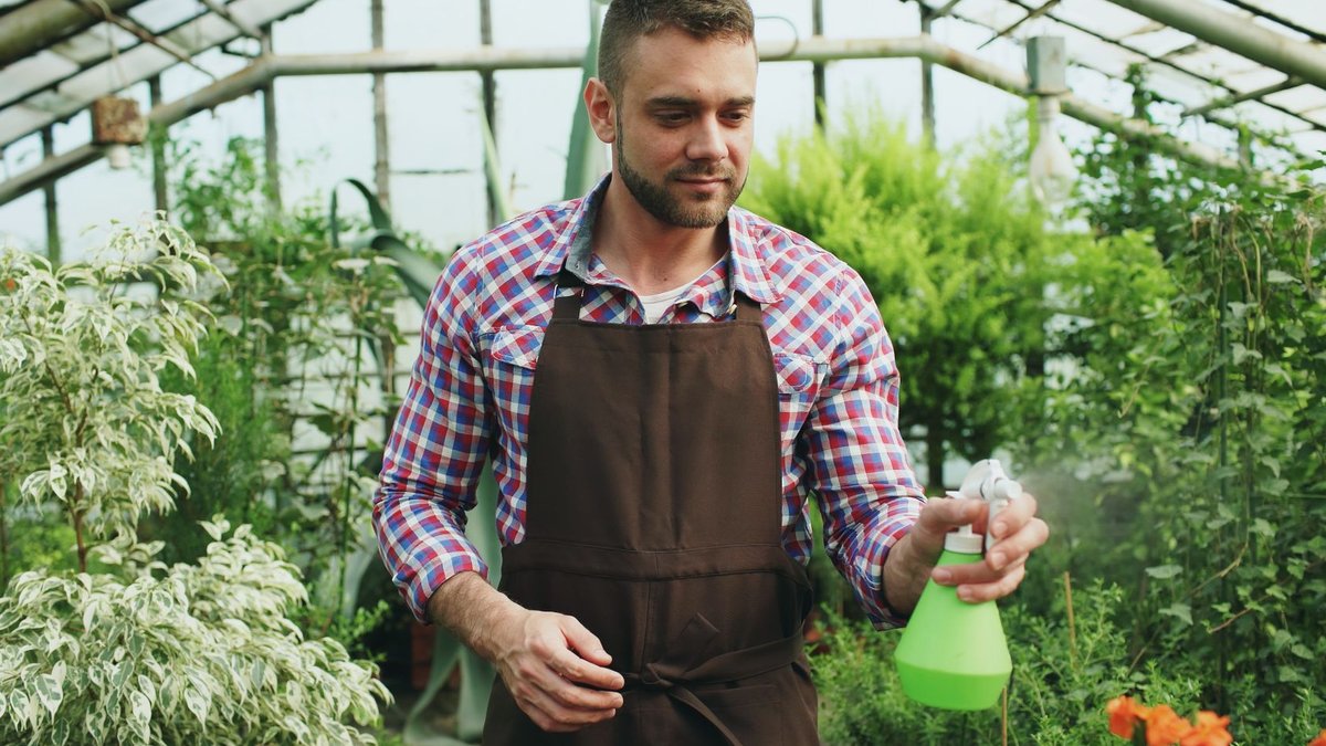 Frenchman nurtures serene garden oasis Frenchman nurtures serene garden oasis - garden oasis