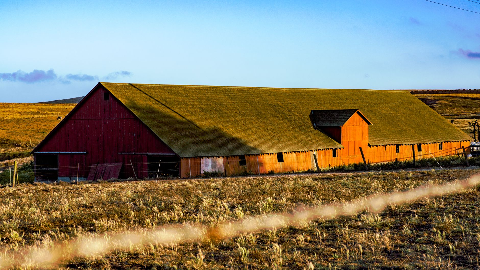 Skywalker Ranch Revisited in Northern California