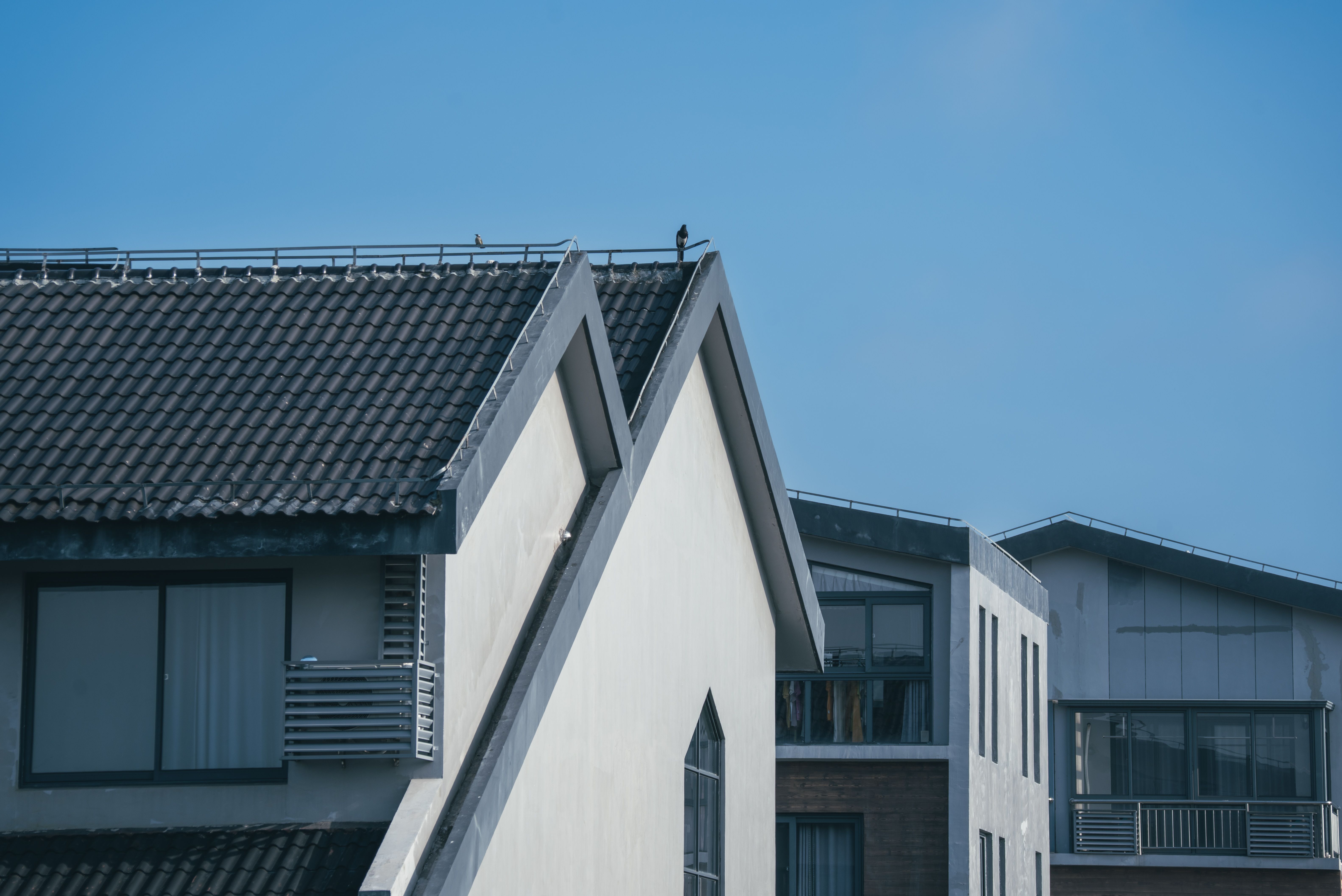 The Roof of Your house are damp and dry? Here’s how to fix it.