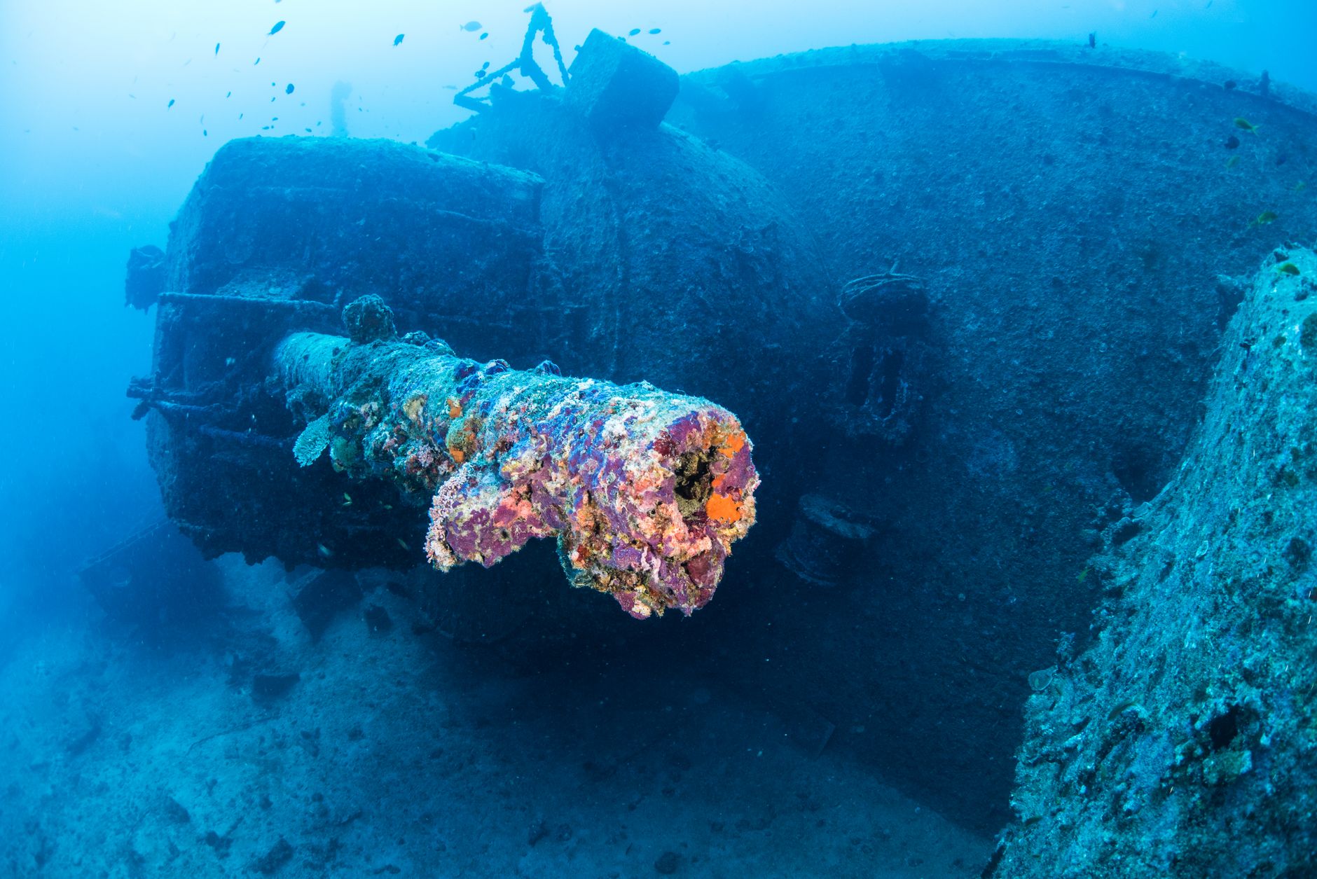Shipwreck remains used in historic dress design