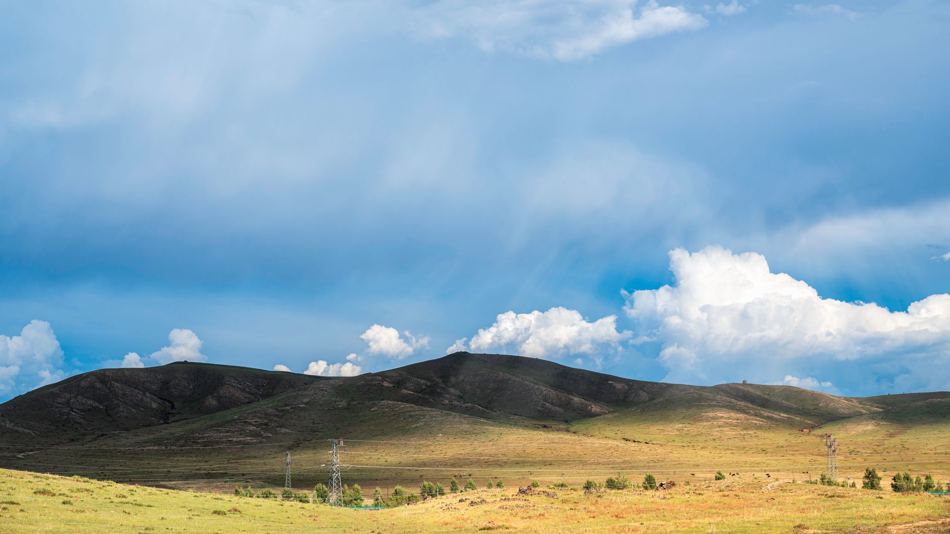 UFO shaped gallery opens in Inner Mongolia