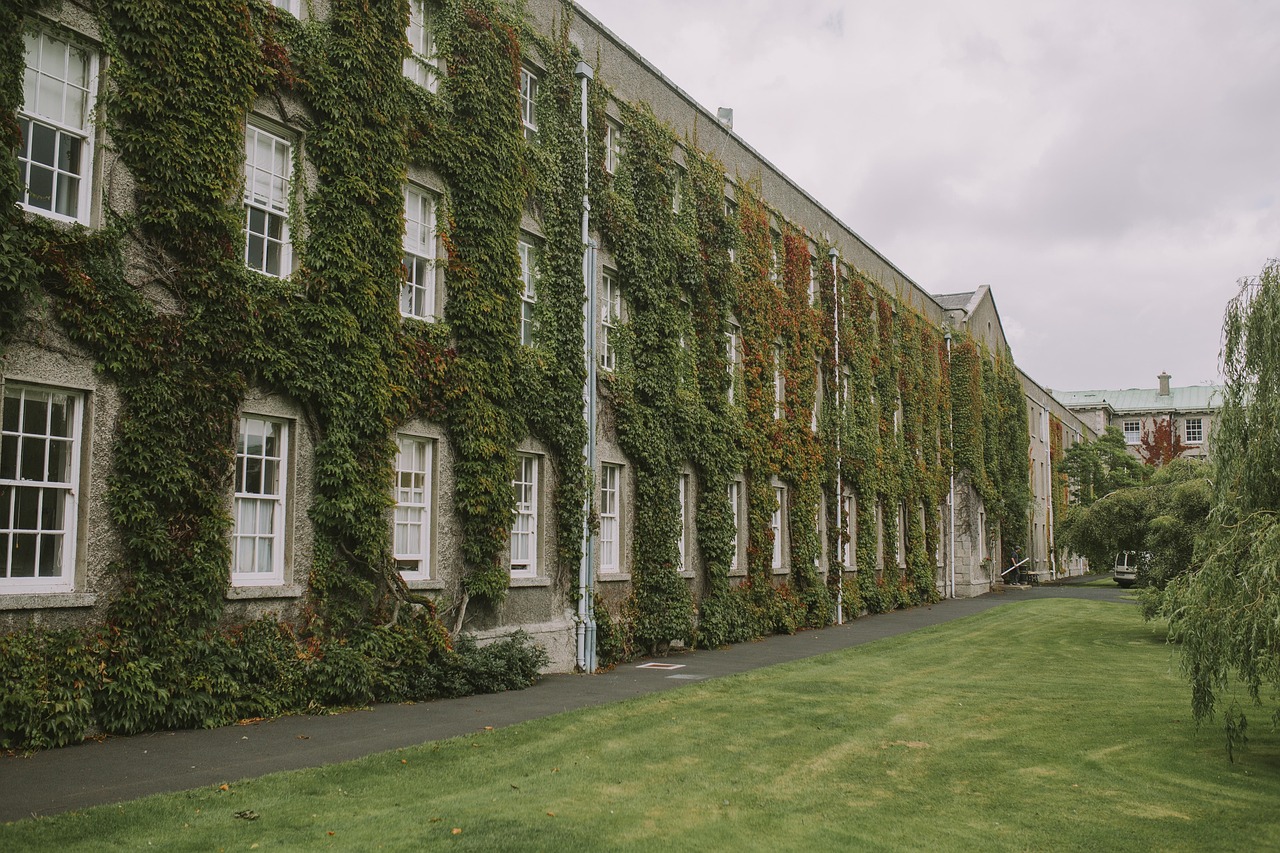 4 Skills to Hone to Help You Get into College