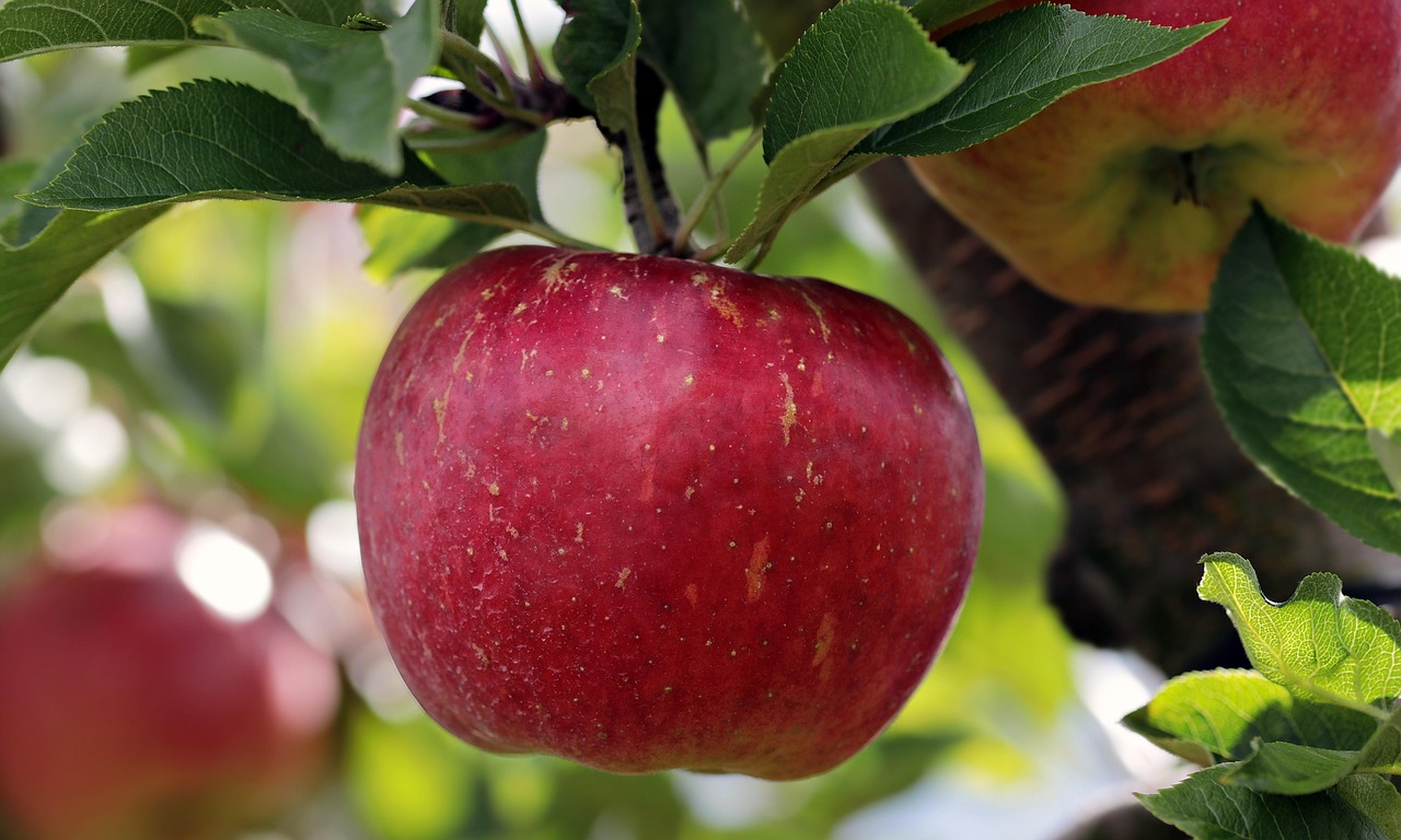 How to make your Apple Mac last longer?
