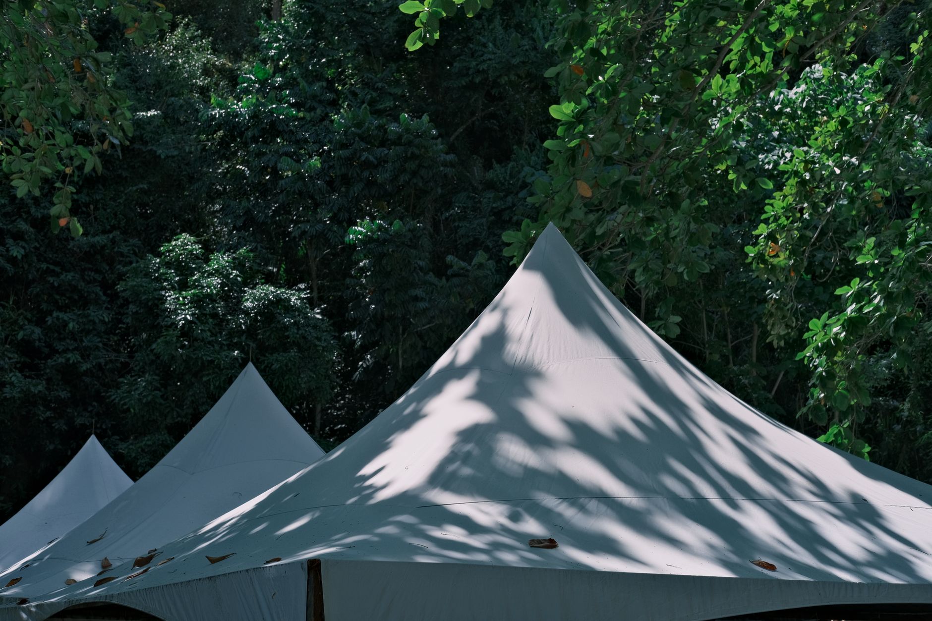 Things to Consider When Choosing a Marquee Hire Company