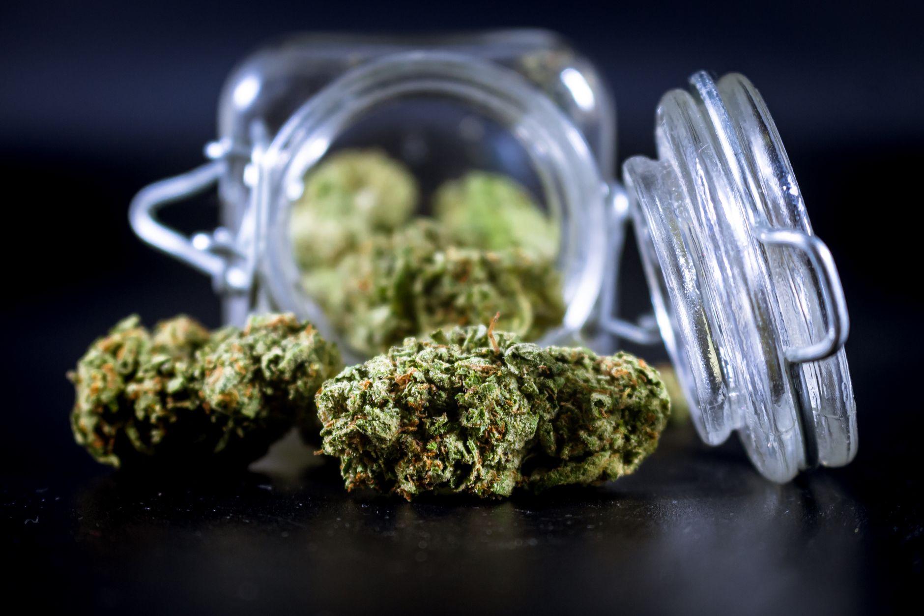 Medical marijuana. What is the difference between CBD and THC?