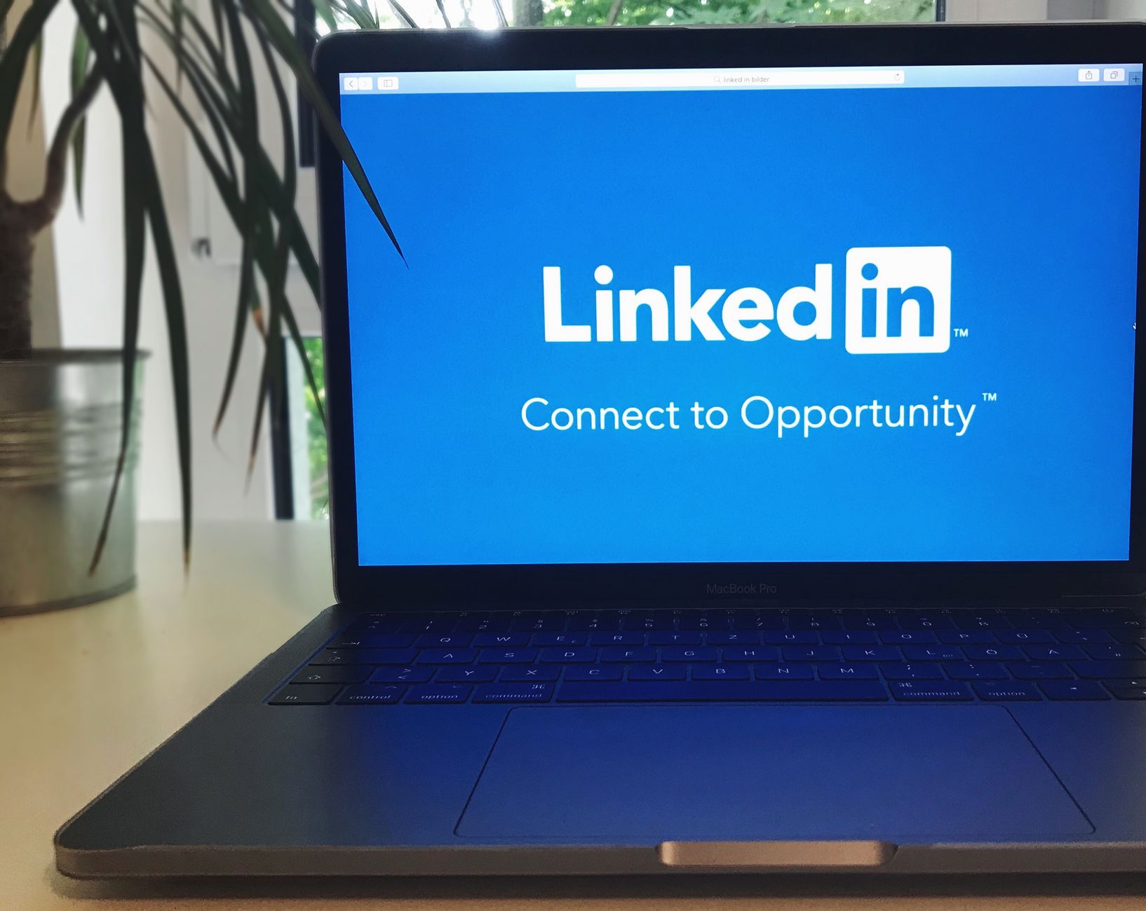 Career Resilience: Thriving in a Changing Job Market