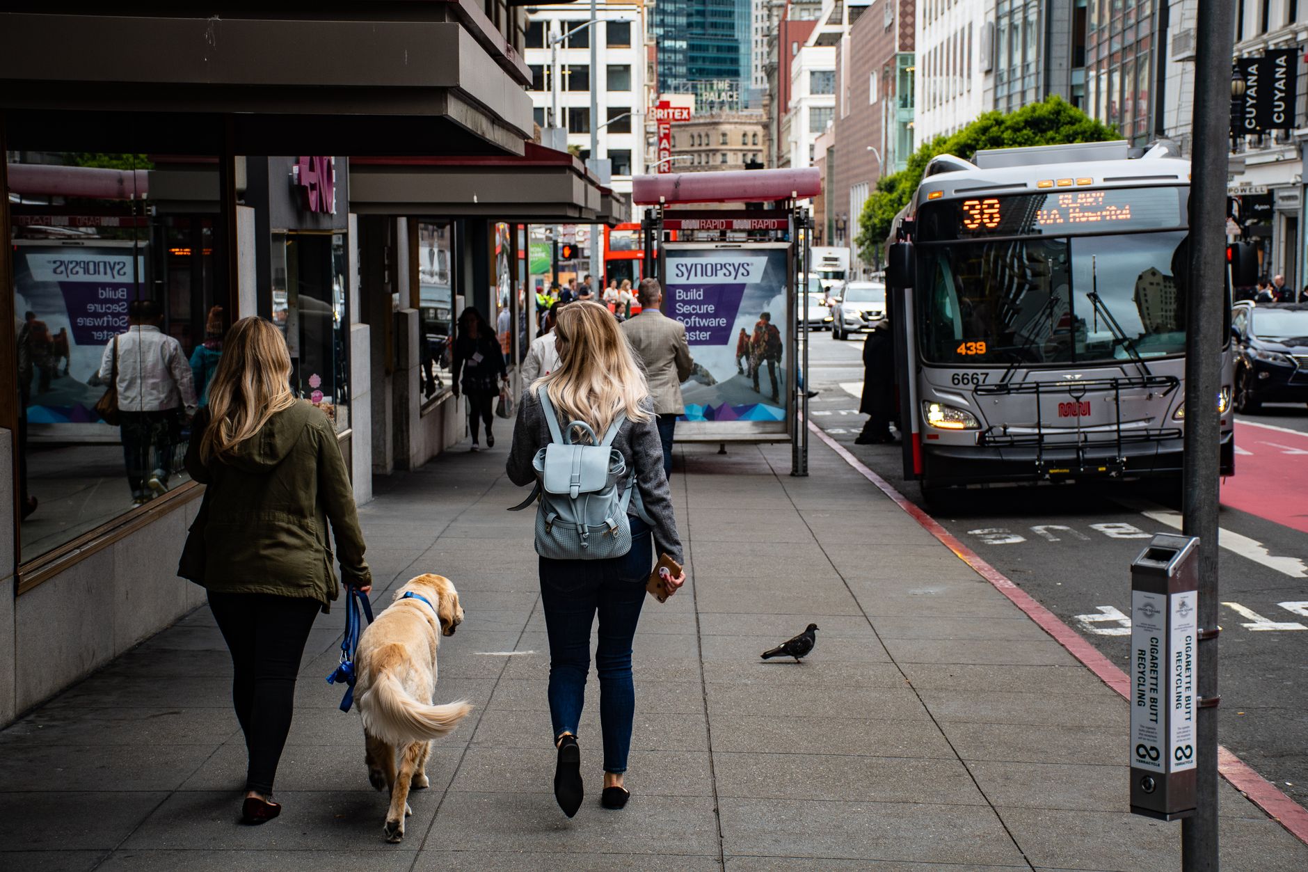 Starting a Dog Walking Business in UK