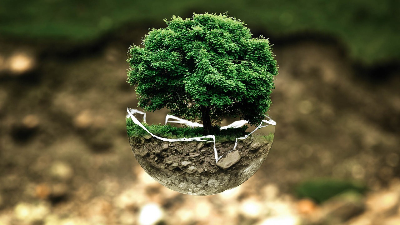 Lagos rejects assigning environmental duties to NURTW
