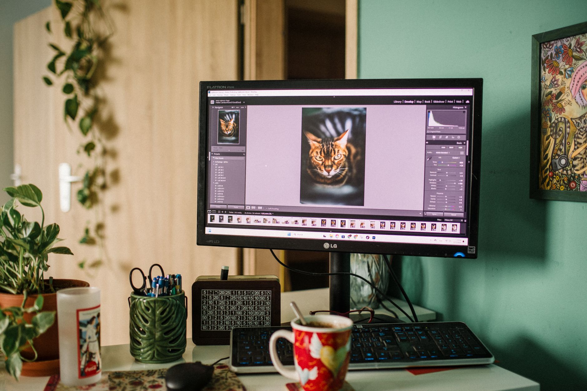 Adobe Lightroom Mod Apk