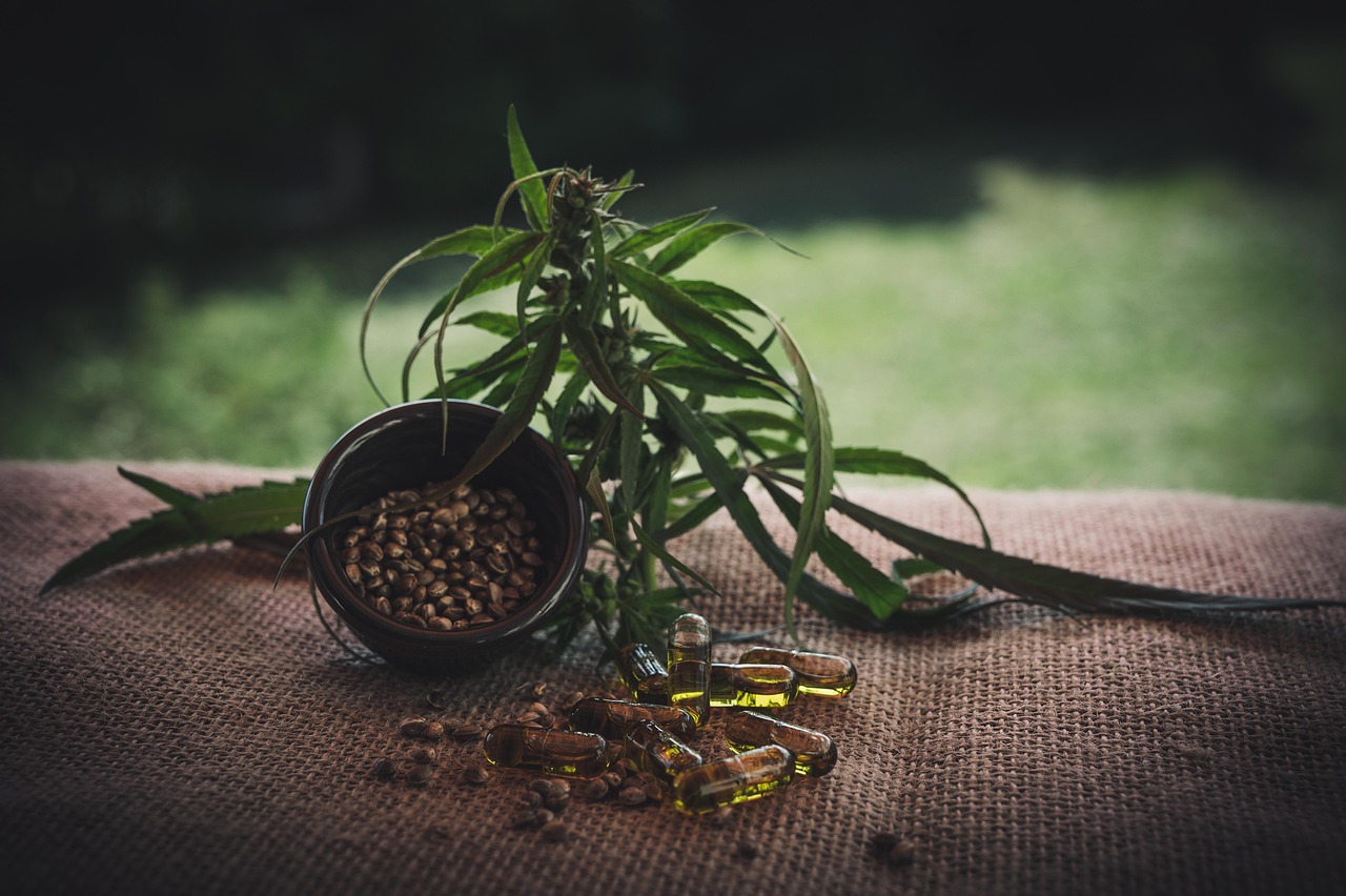 CBG vs CBD