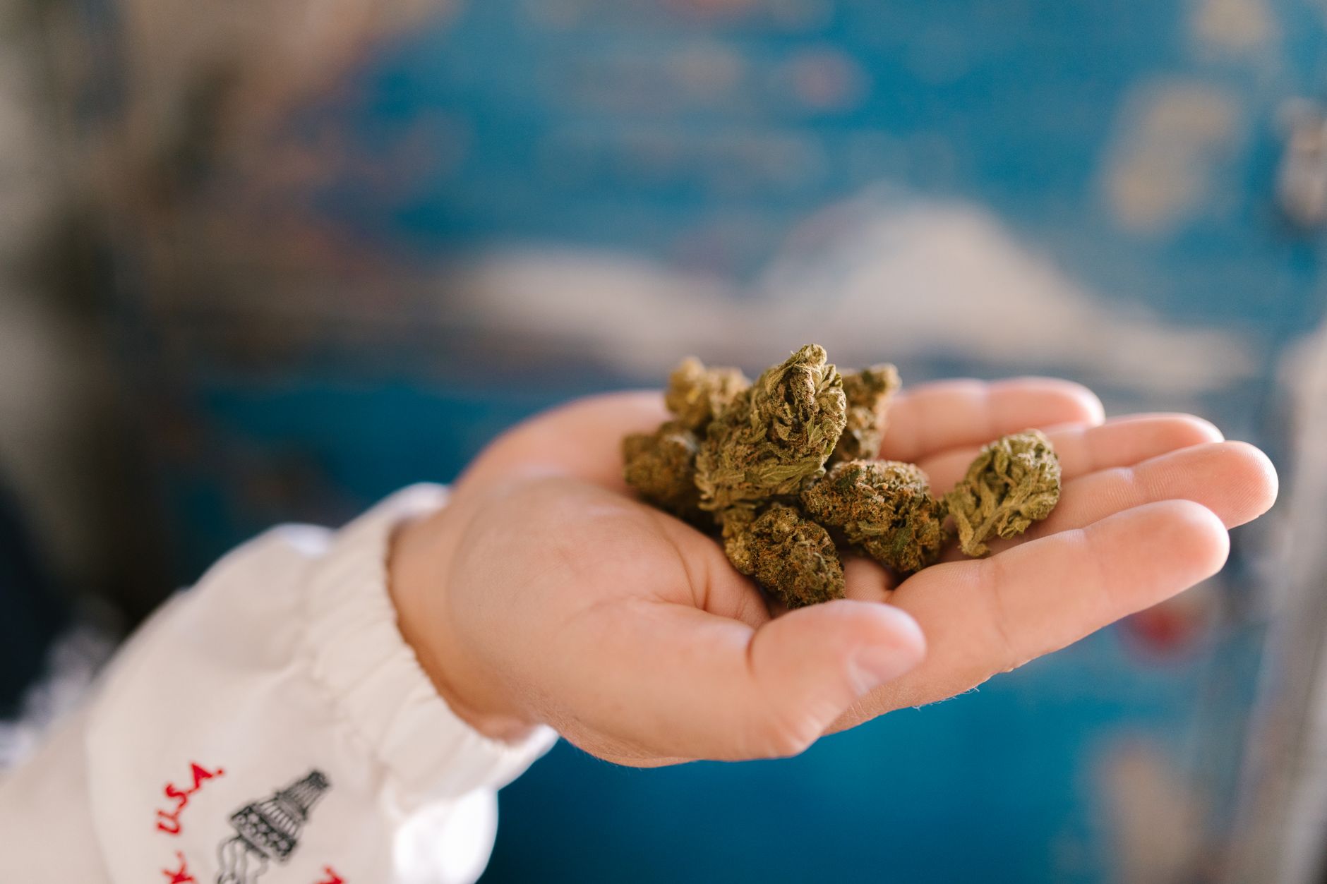 Medical Marijuana Myths and Realities for Well Being- HitPro Guide