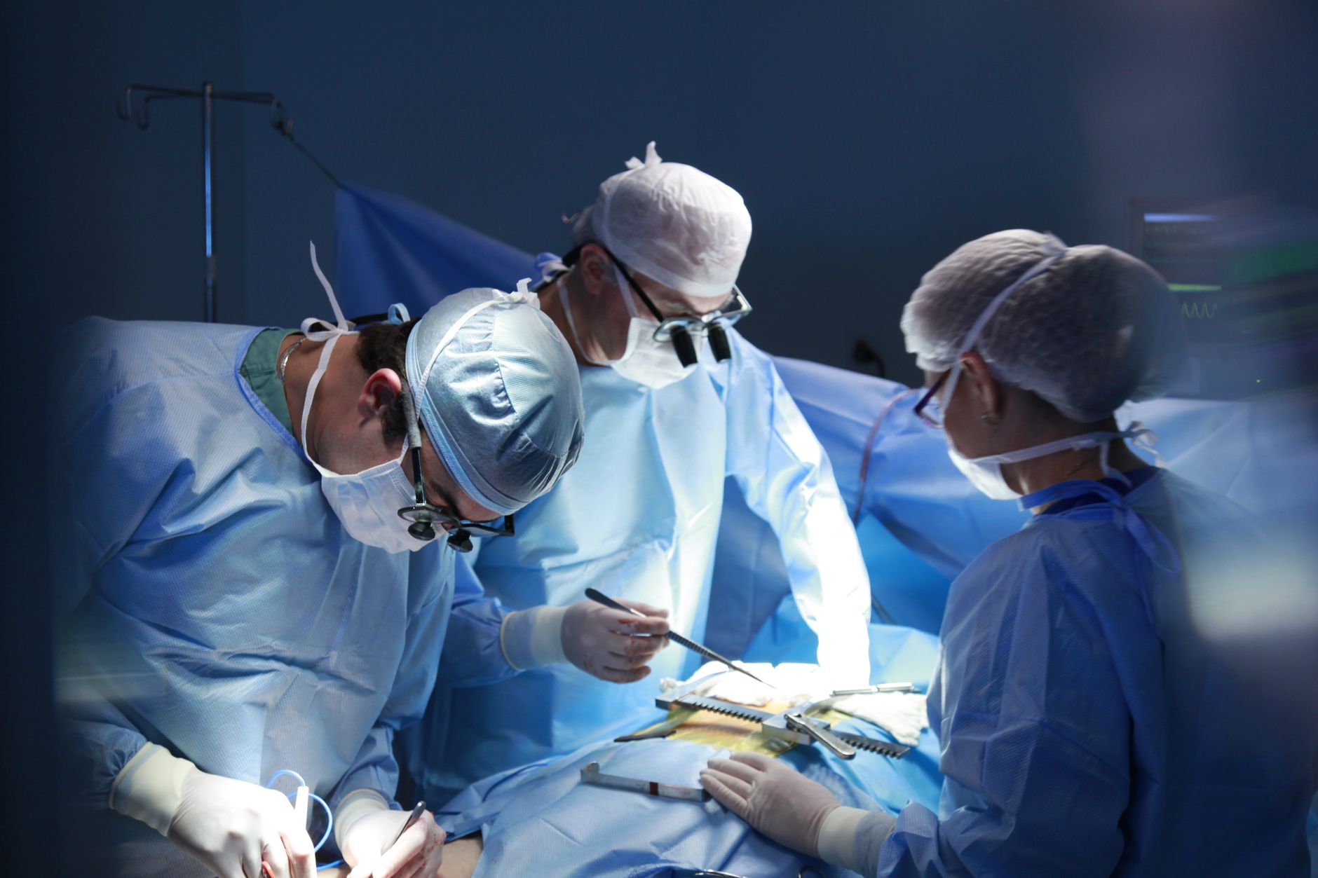 Vascular Surgery: A Comprehensive Guide for Patients