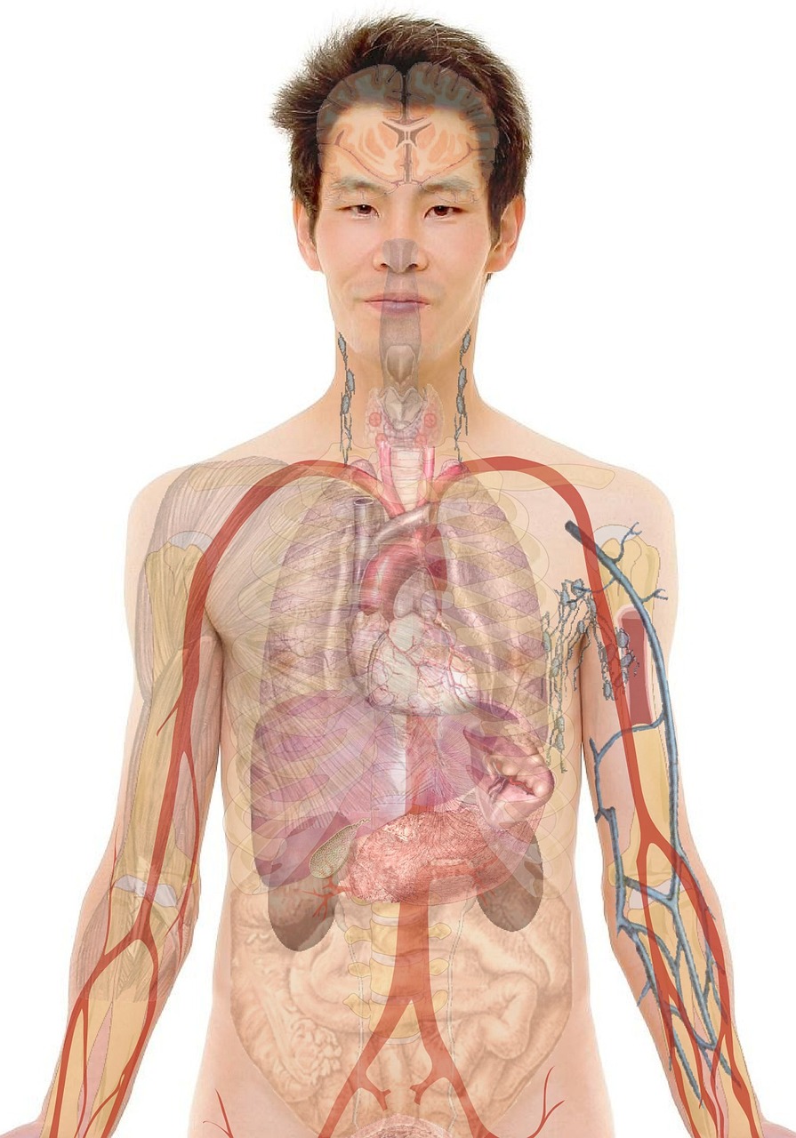 The Science Behind Regenerative Medicine Explained