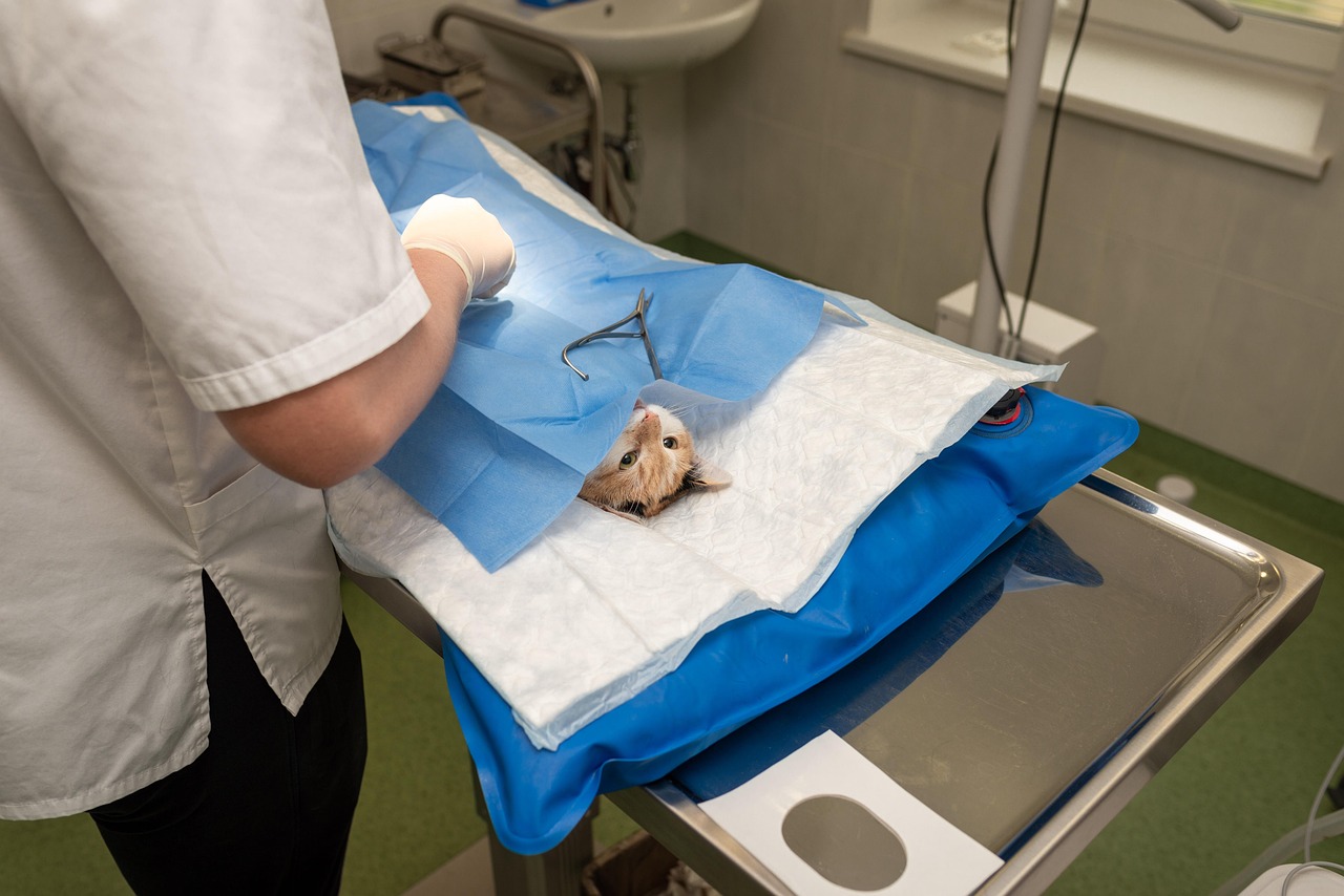 The Effects of Surgical Orthodontic Treatment on Facial Aesthetics