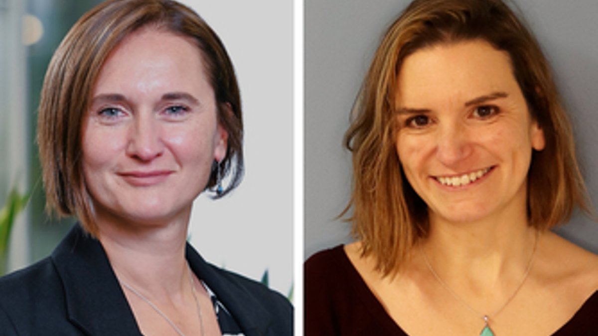 PP Live urges less box‑ticking for sustainability PP Live urges less box‑ticking for sustainability - pension sustainability