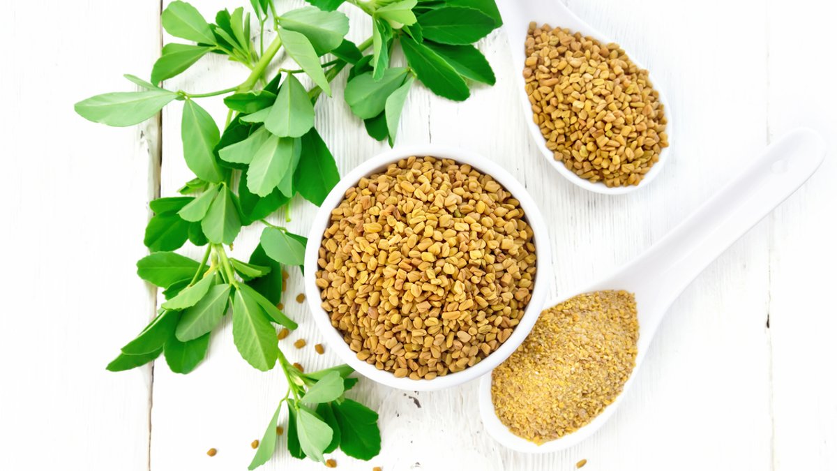 Hidden Bitter Seeds May Drive Metabolic Benefits Hidden Bitter Seeds May Drive Metabolic Benefits - fenugreek seeds