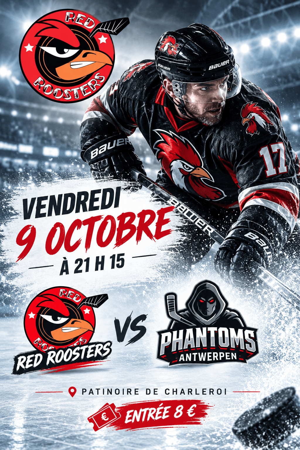 Match De Division 1 Hockey Sur Glace