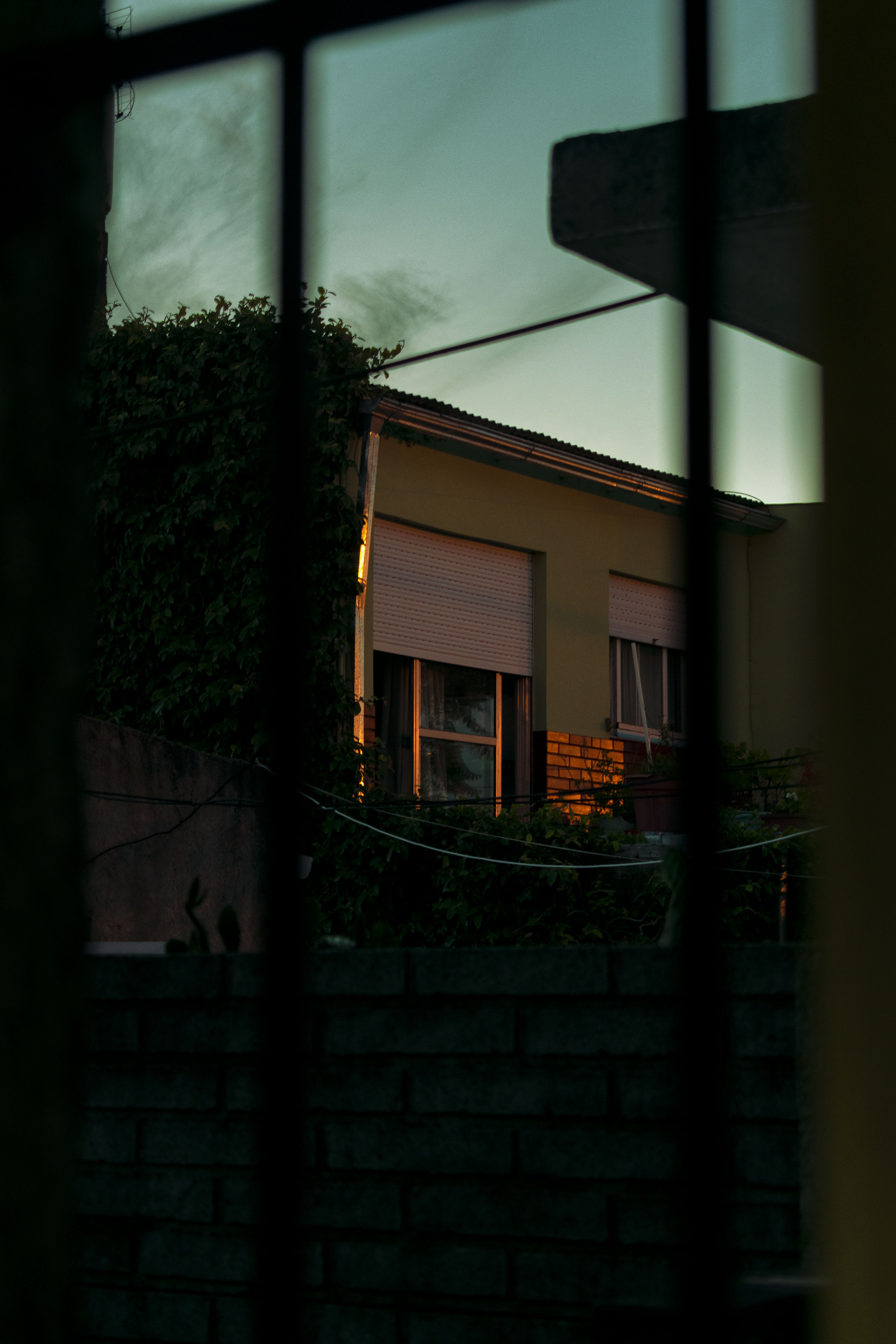 "Frecuencia"