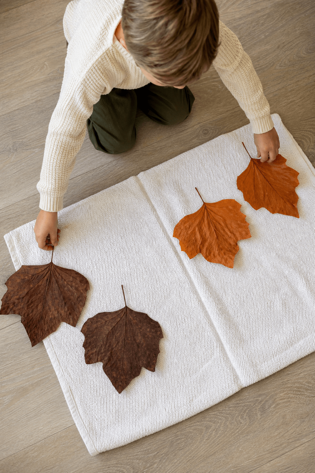5. Same-and-Different Leaf Pairs