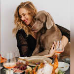 From turkey to treats: Petland’s expert advice to protect pets this Thanksgiving