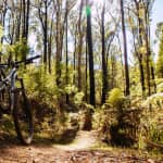 Buckhannon’s mountain biking scene on the rise