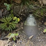 Hunter stumbles upon unexploded World War II mortar shell in Dolly Sods