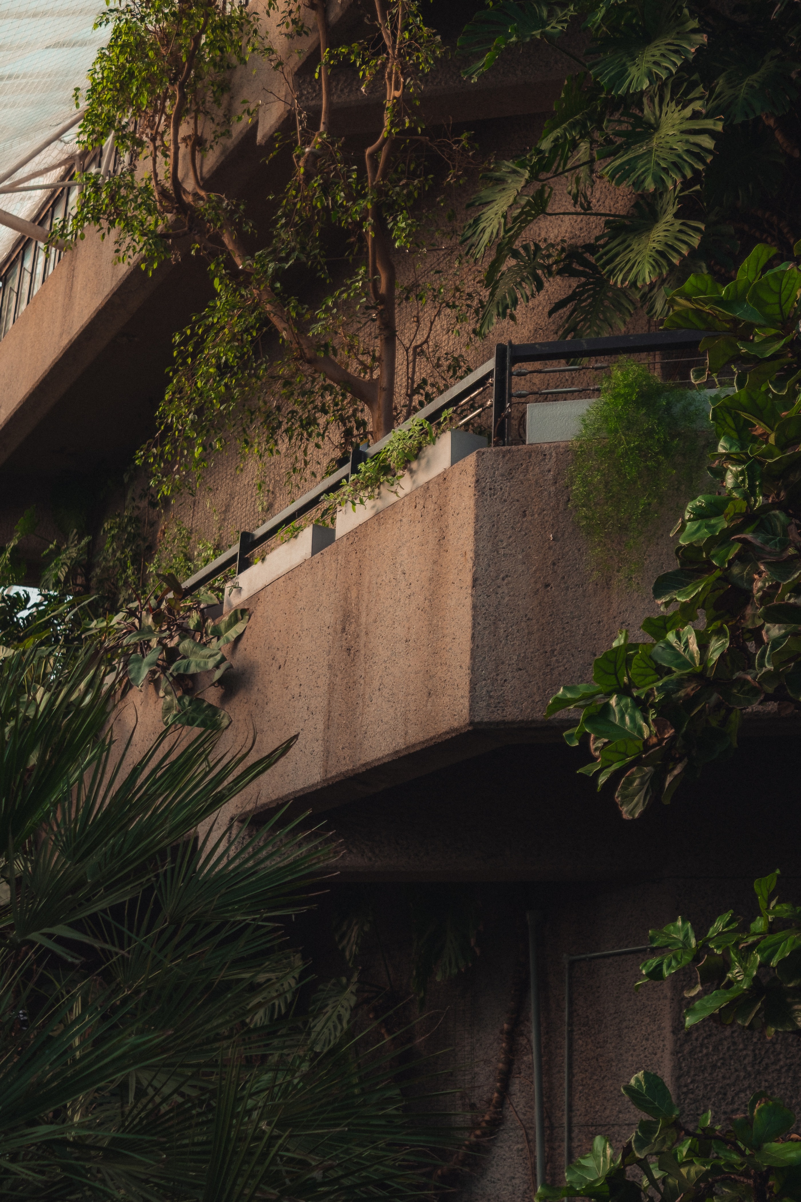 Barbican 005
