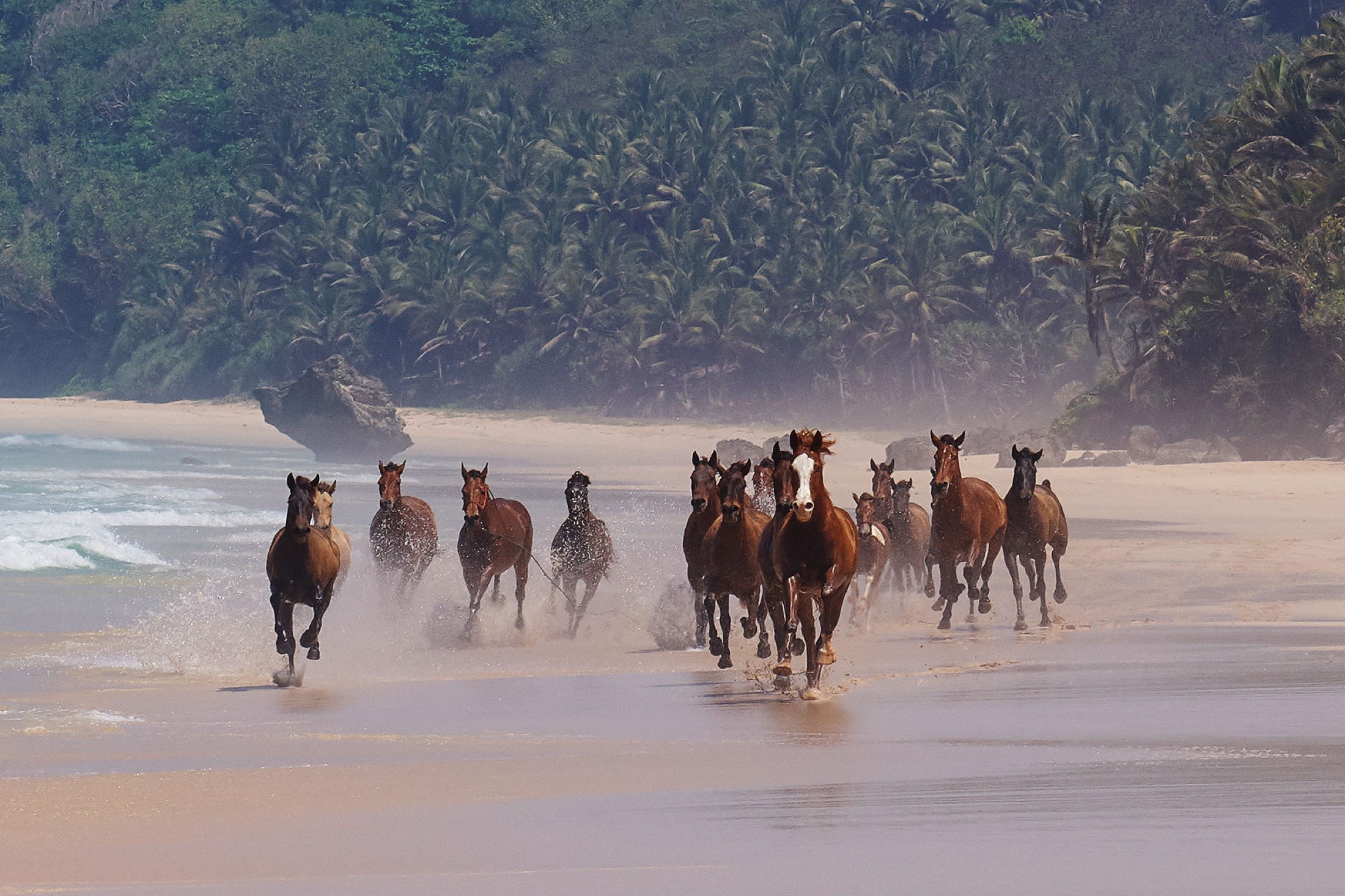 Horses on Nihiwatu beach, an iconic image of Nihi Sumba, Indonesia. (Credit Nihi Sumba)