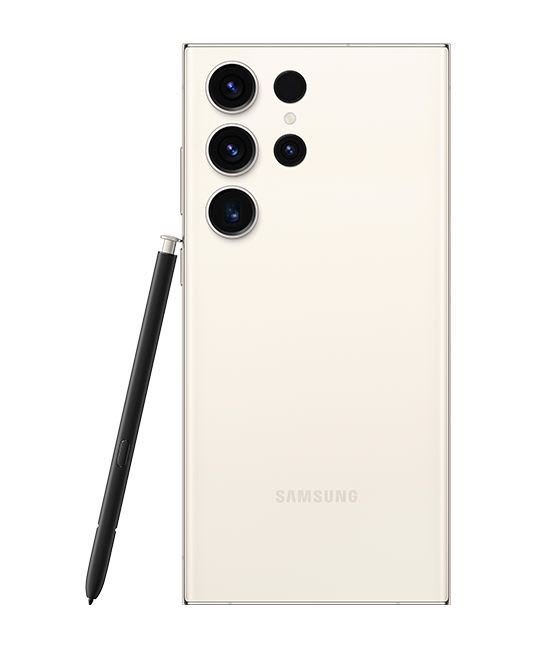 Back View