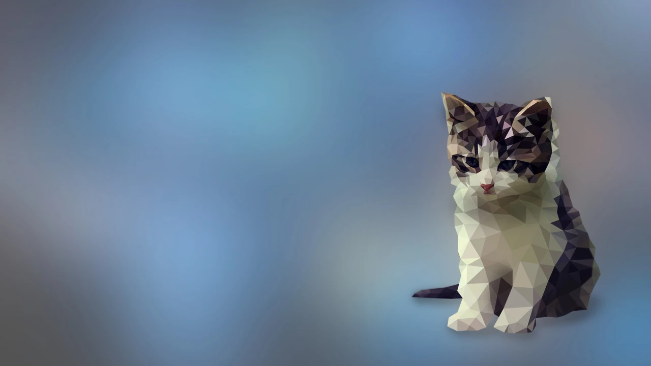 Cute kitten