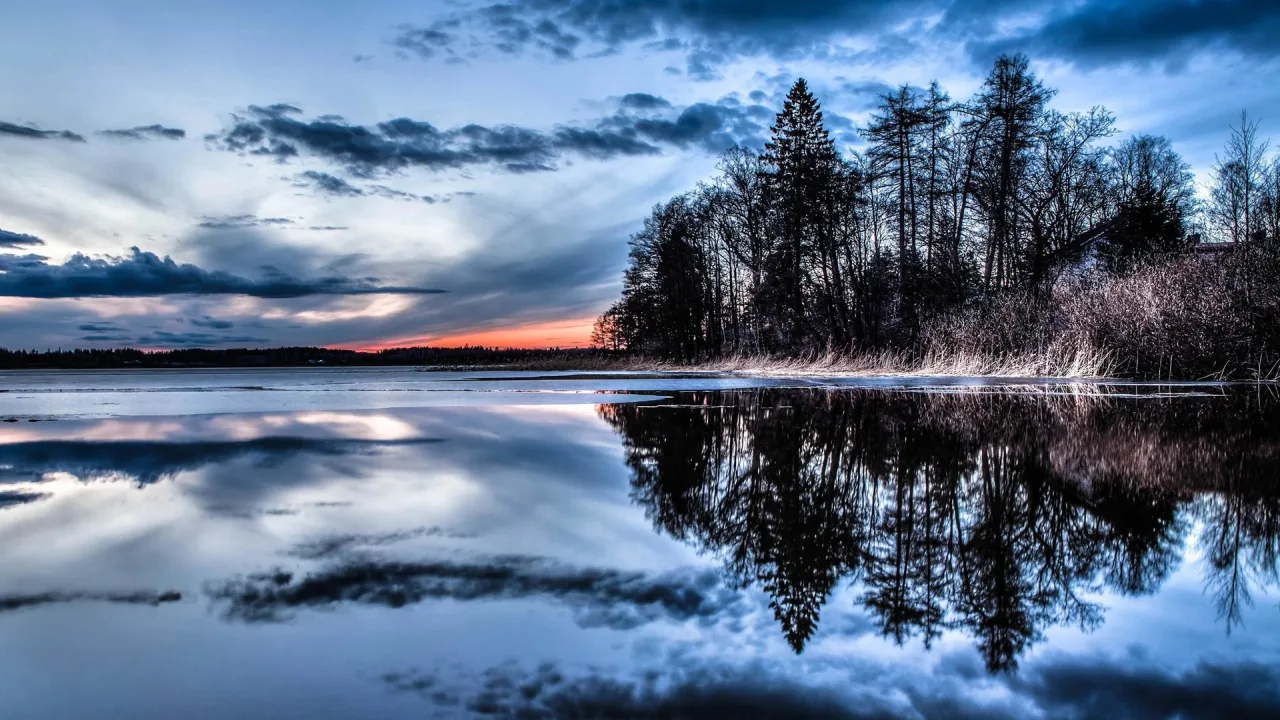 beauty of nature
