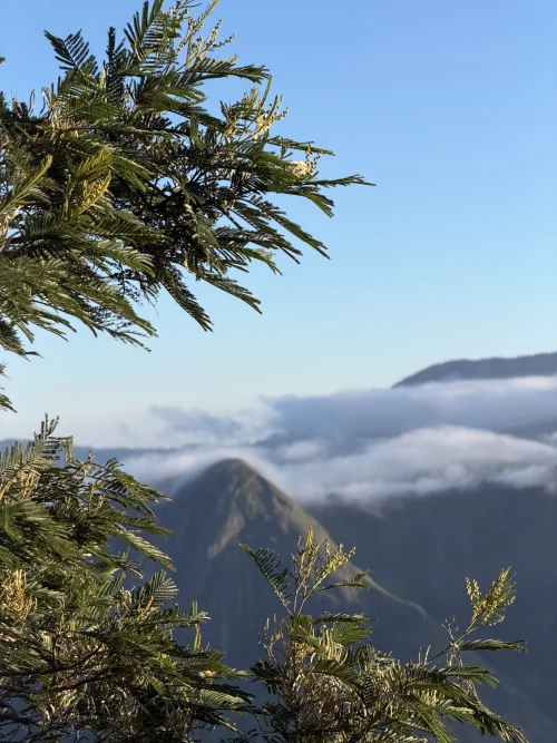 Mountains view