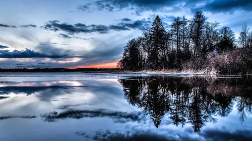 beauty of nature