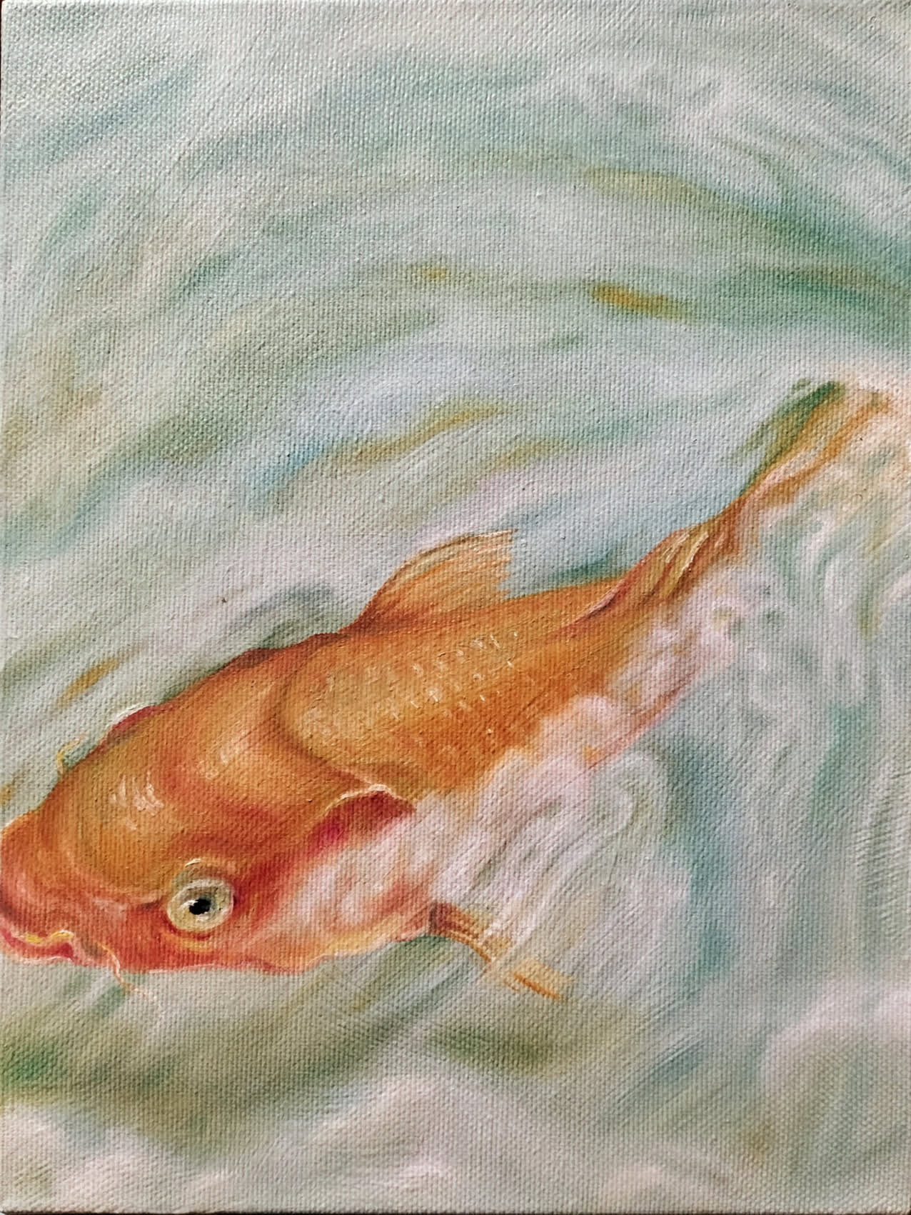 Ichthys