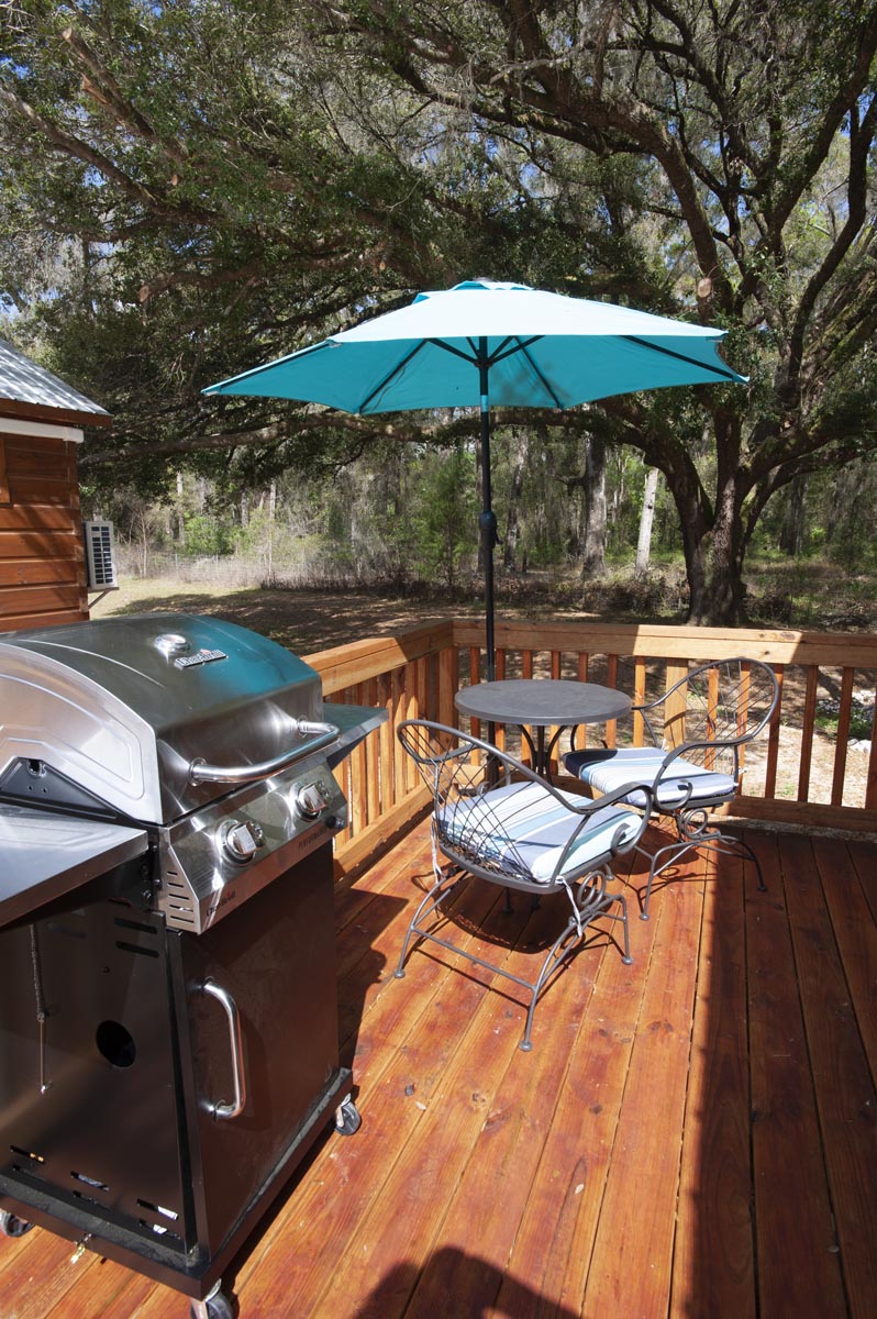 Outdoor seating on deck with grill