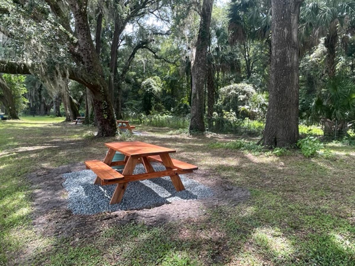 Picnic benches under trees