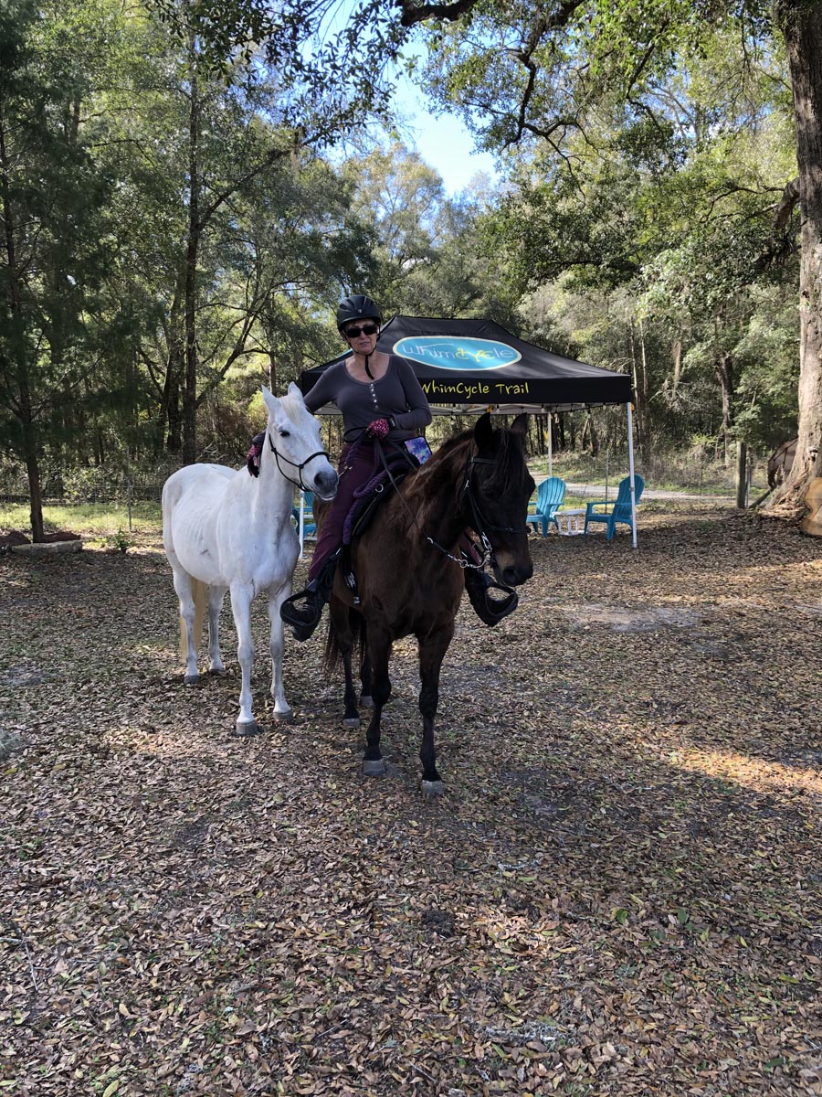Woman with two horses