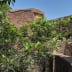 The main well