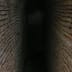 System of tunnels in the upper floor of the masjid