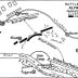 Map of the battle