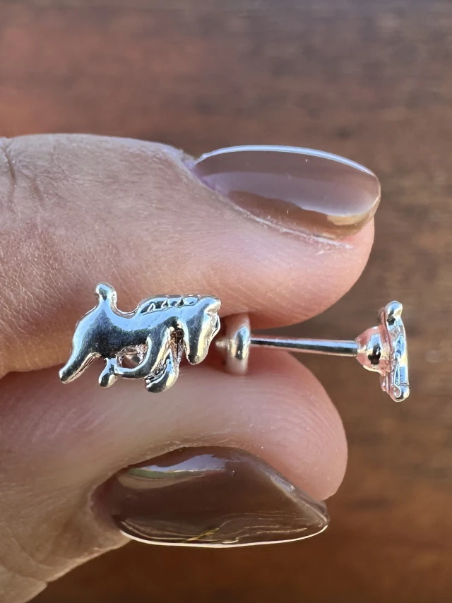 Aros abridores caballo
