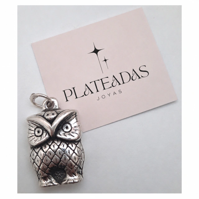 Dije de plata inflada lechuza