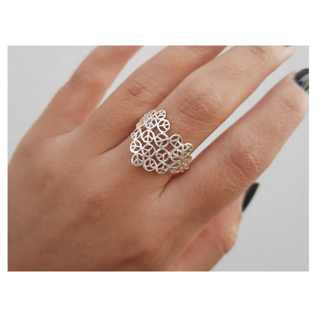 Anillo de plata elegante paris